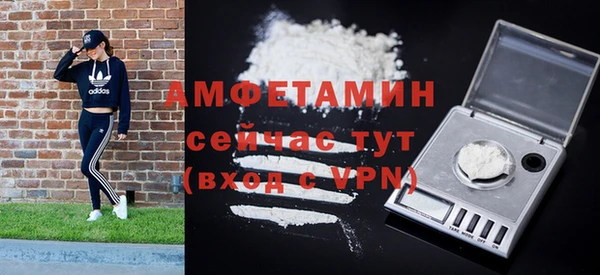 индика Баксан