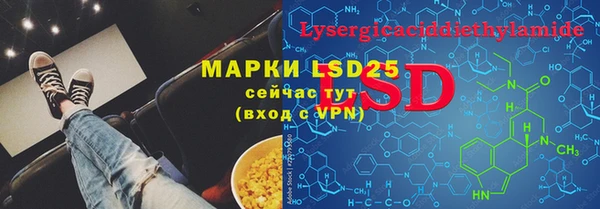 индика Баксан